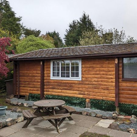 Willa Snowdonia Log Cabin 2 Trawsfynydd Zewnętrze zdjęcie